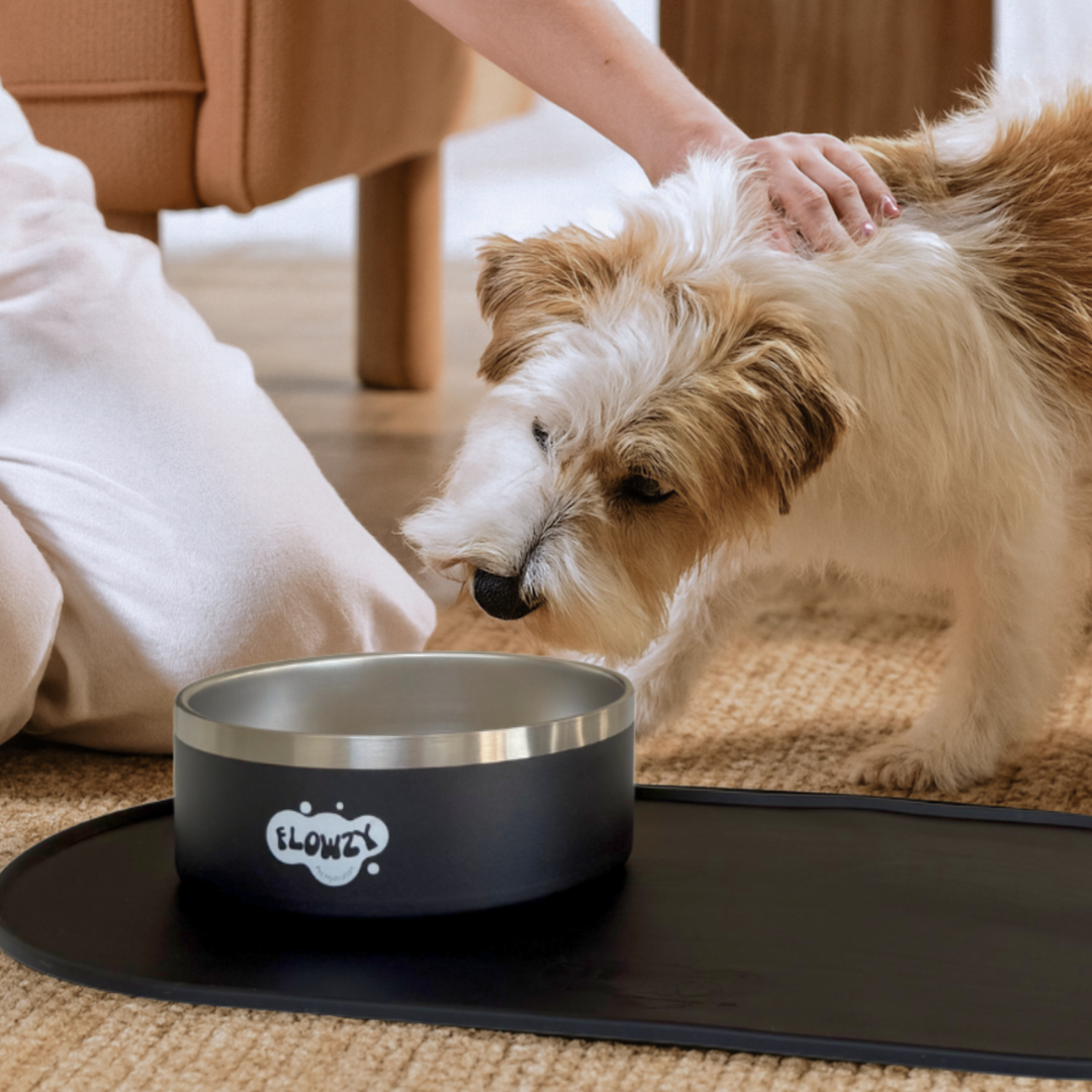 Flowzy™ Station Upgrade