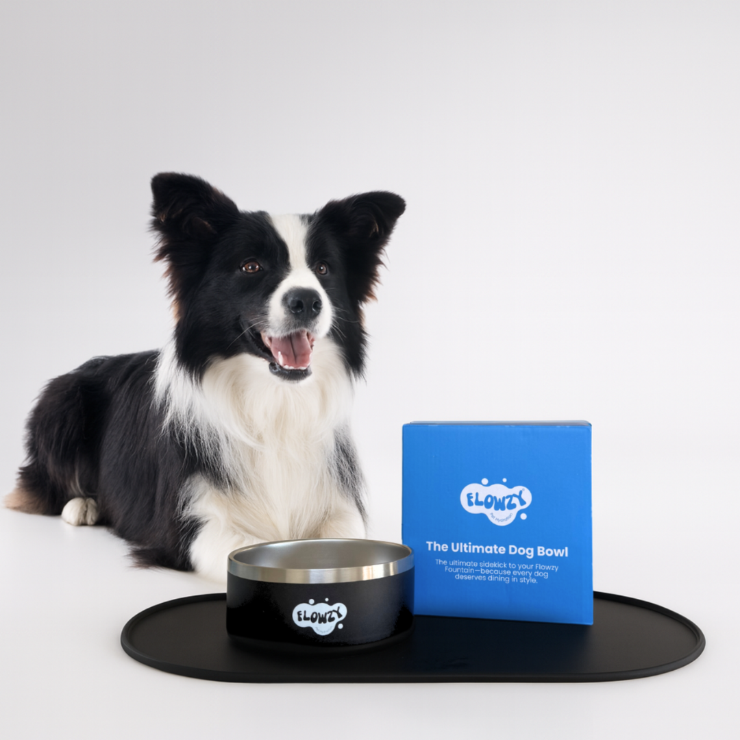 Flowzy™ Station Upgrade