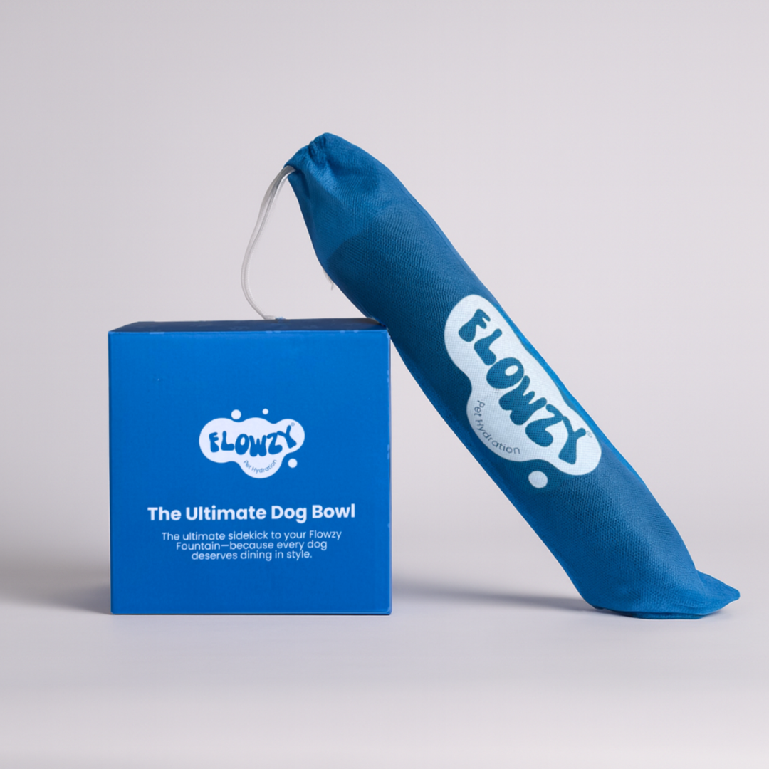 Flowzy™ Station Upgrade