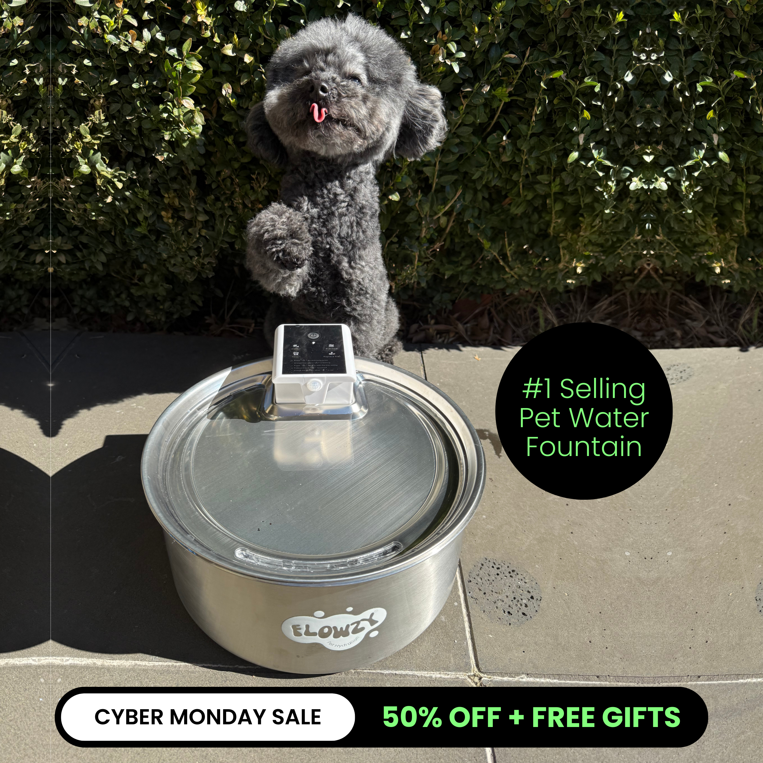 Flowzy™ Water Fountain