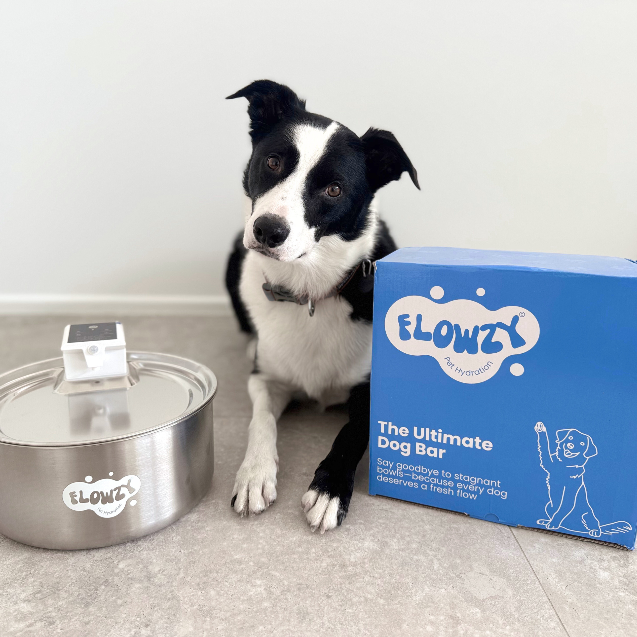 Flowzy™ Water Fountain