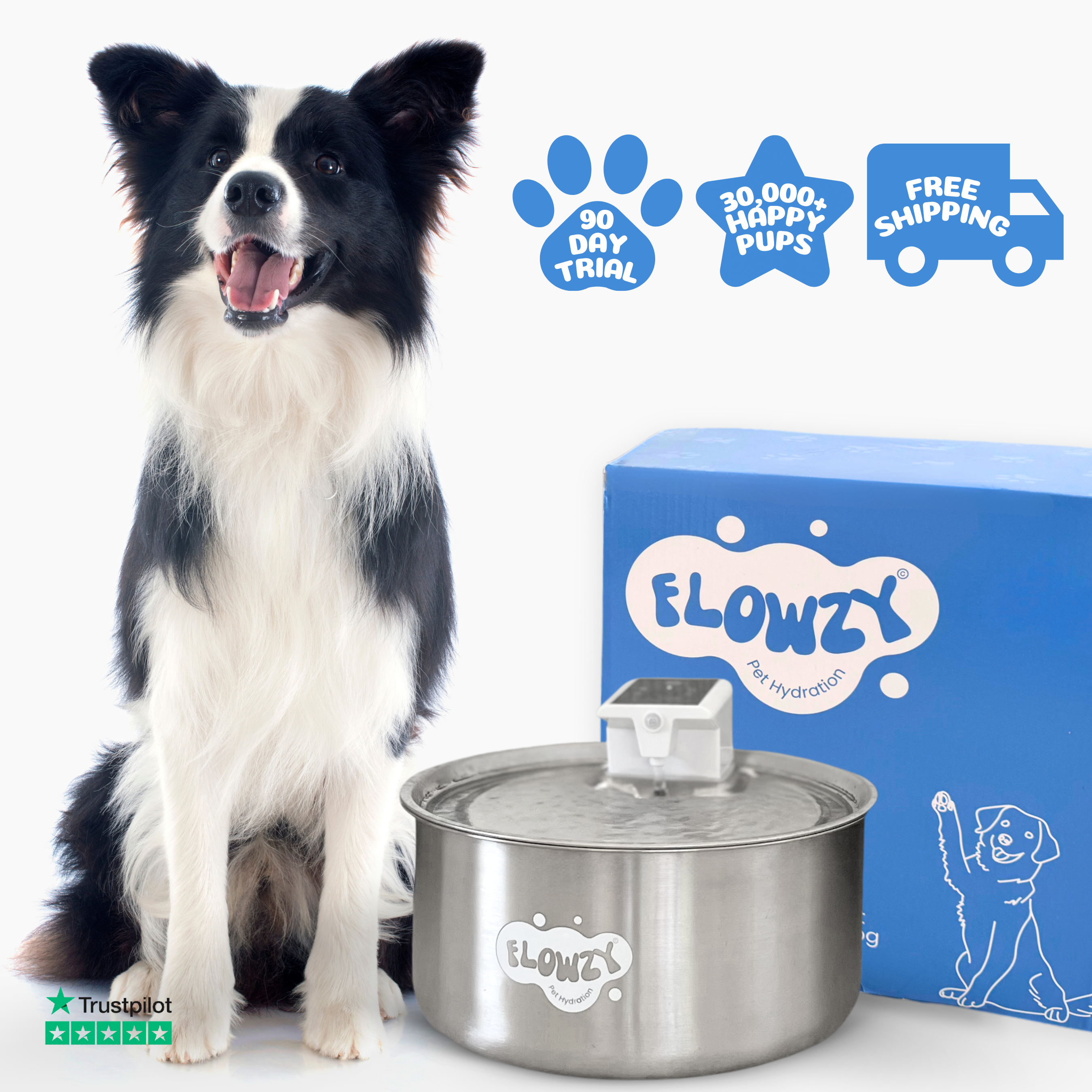 Flowzy⢠Water Fountain