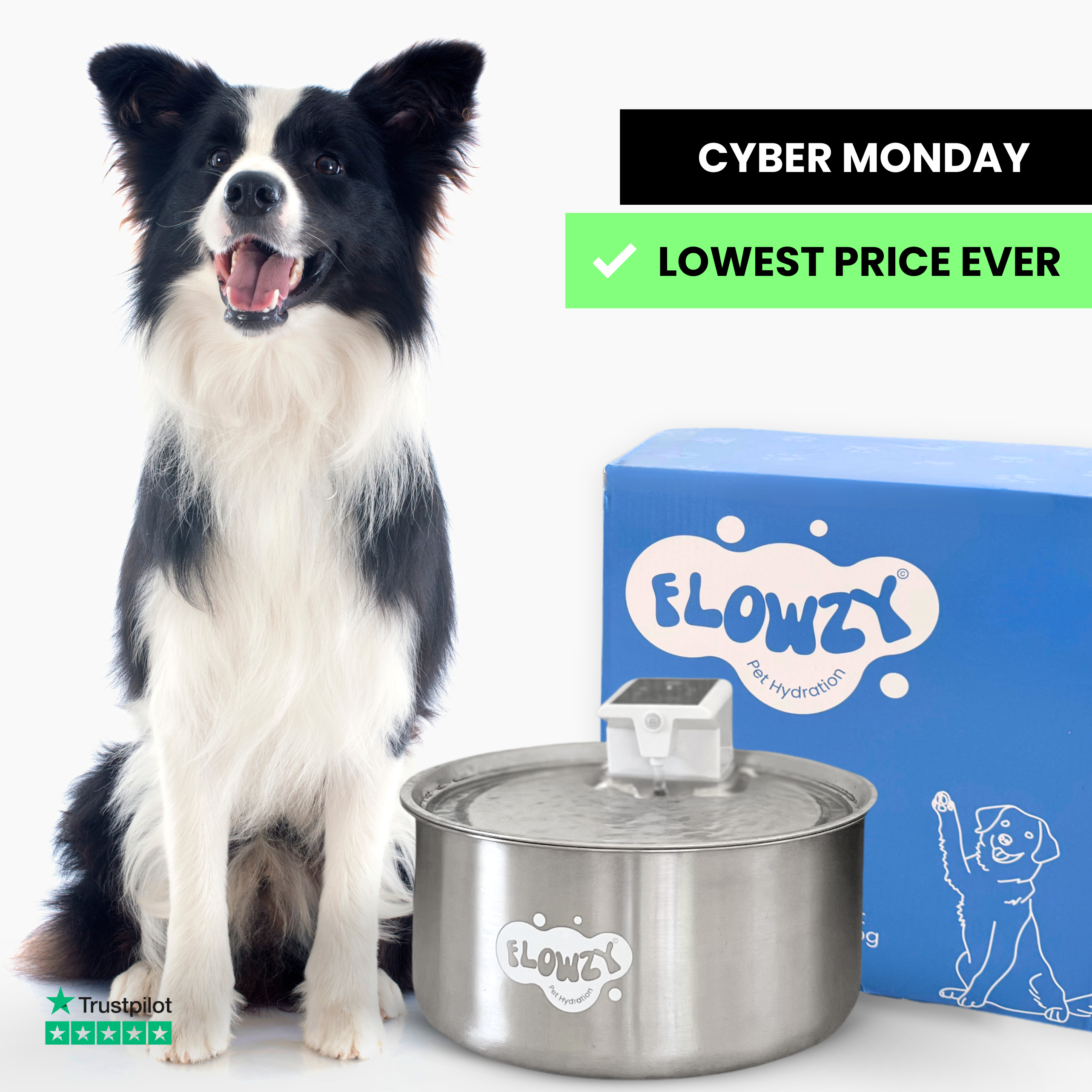 Flowzy™ Water Fountain