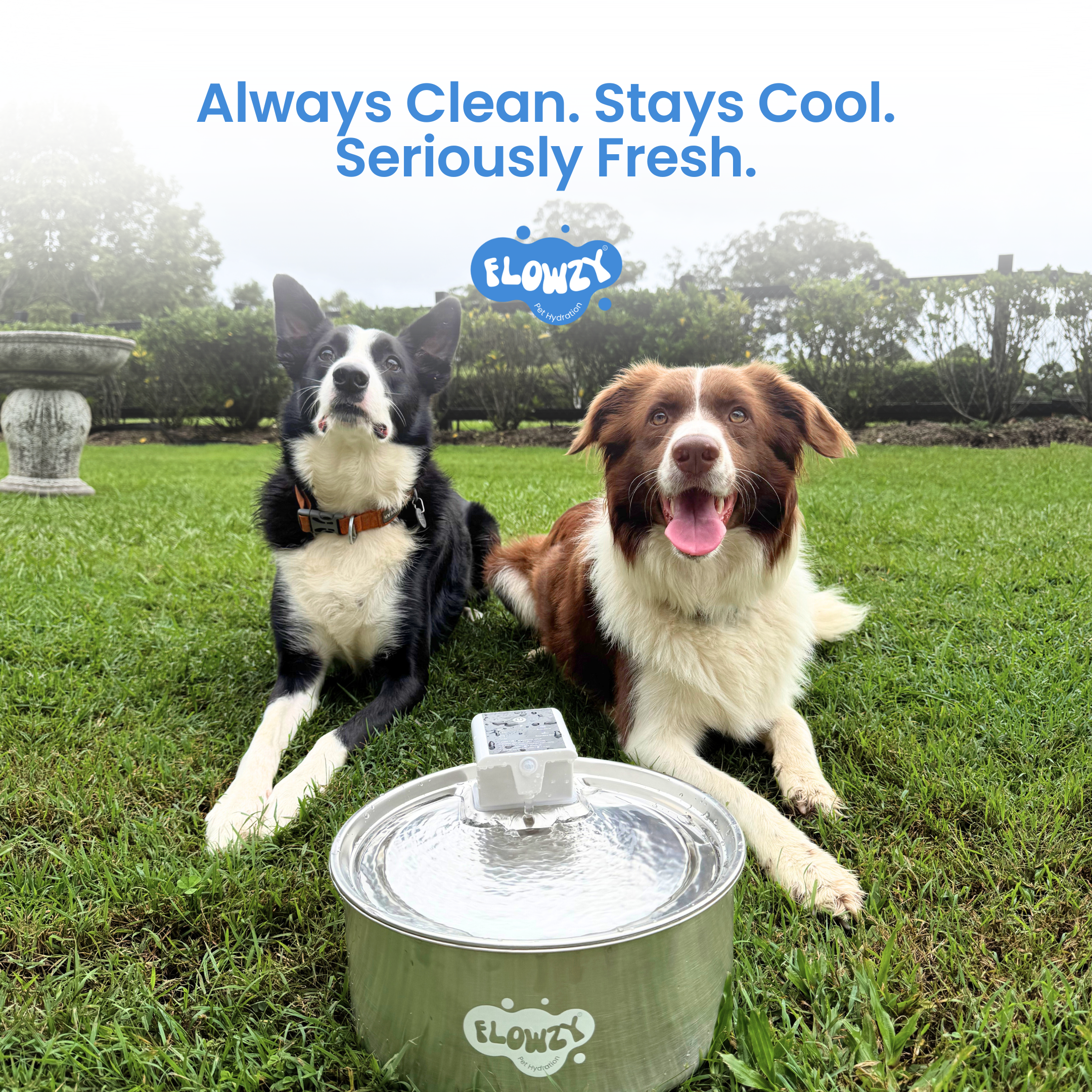 Flowzy™ Water Fountain