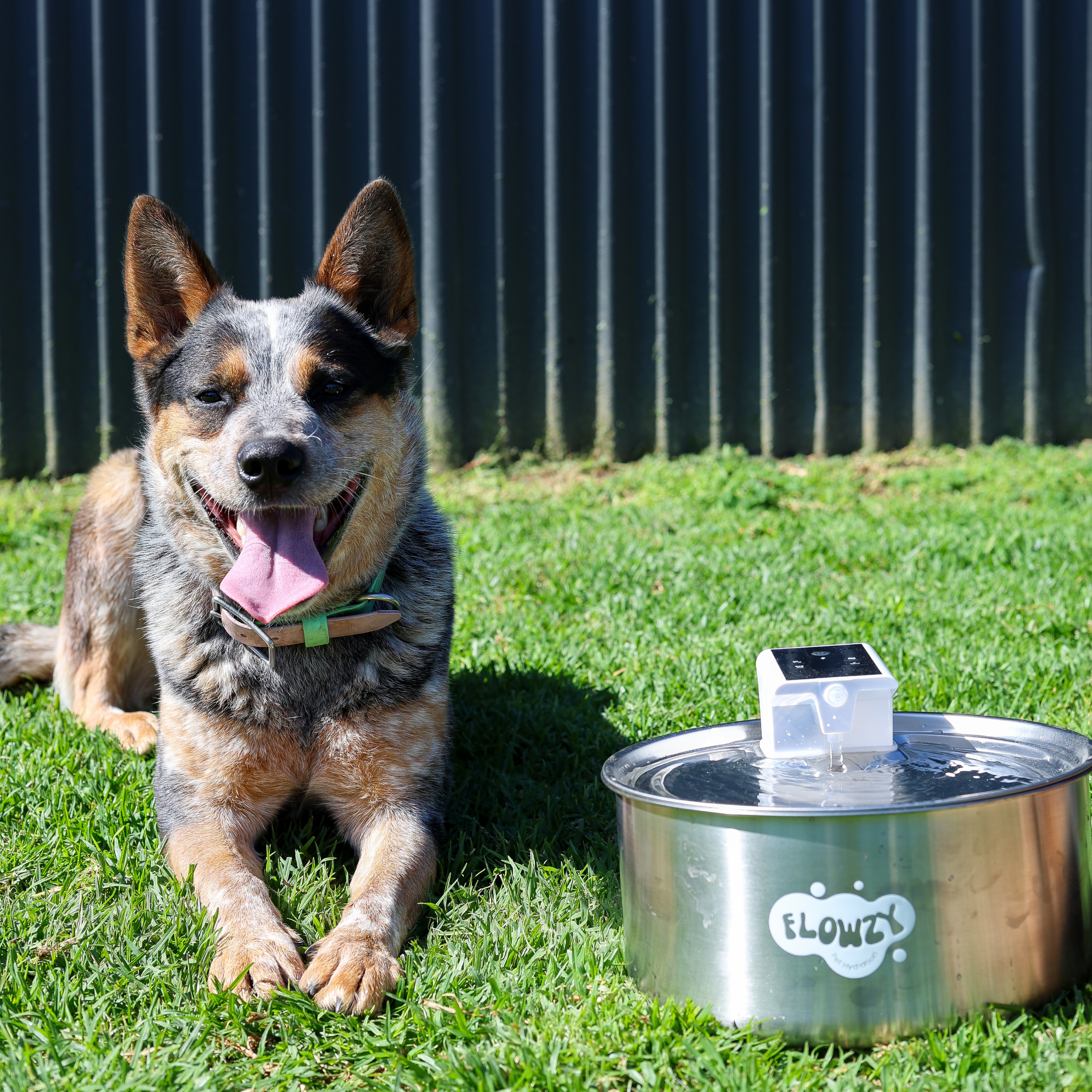 Flowzy⢠Water Fountain