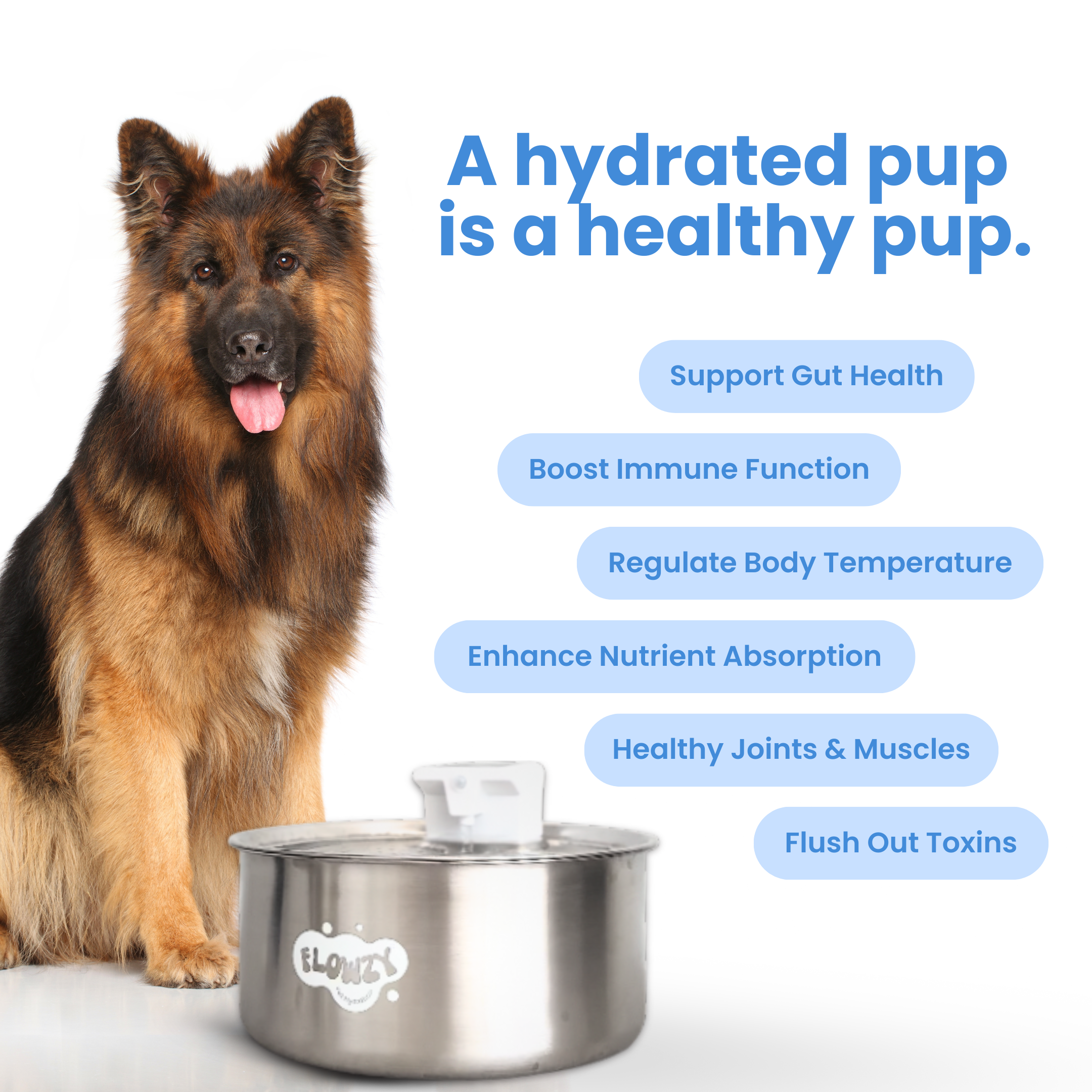 Flowzy™ Water Fountain