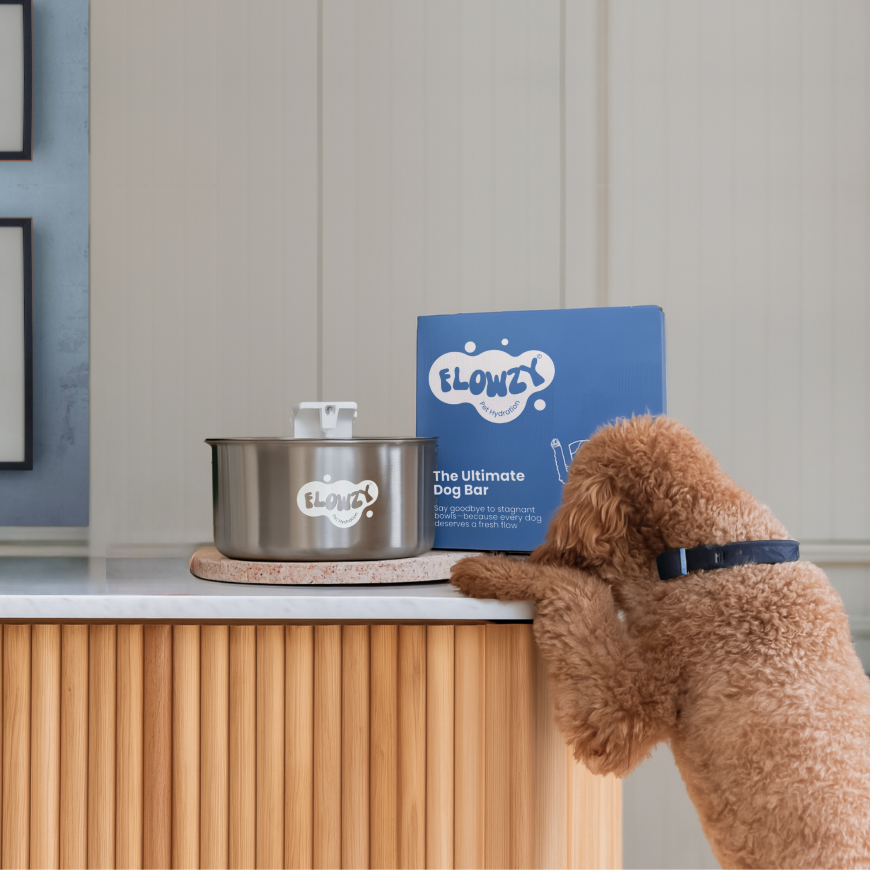 Flowzy™ Double Bundle