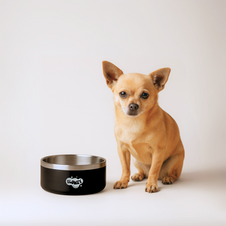 Flowzy™ Dog Bowl