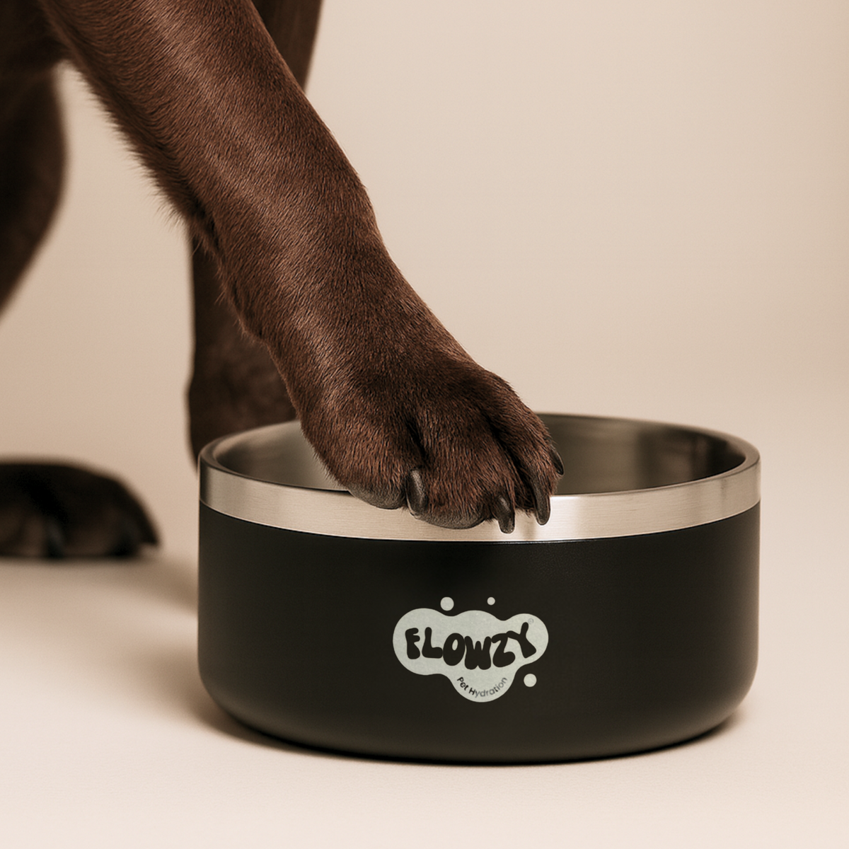 Flowzy Flowzy™ Dog Bowl