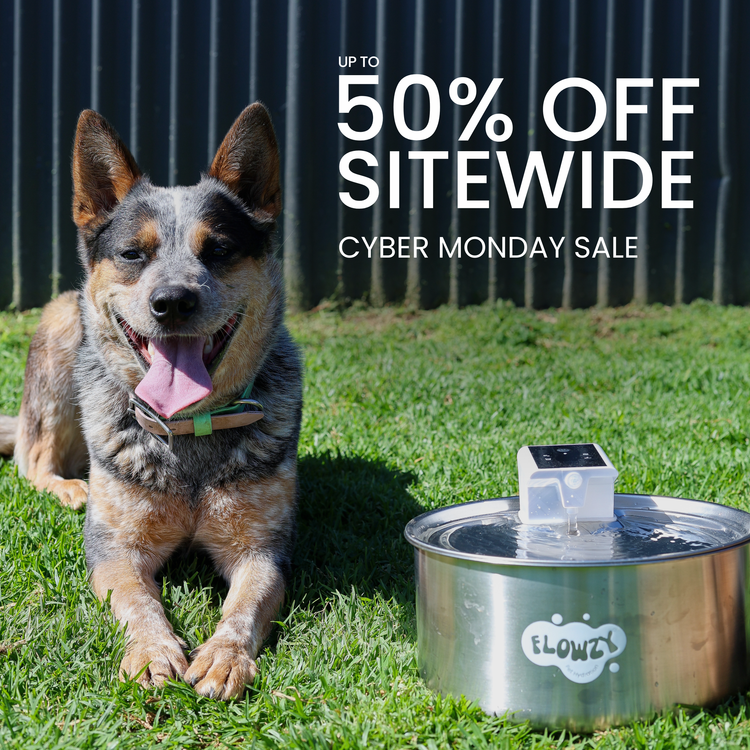 Flowzy™ Water Fountain