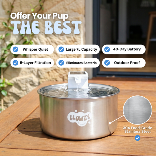 Flowzy™ Water Fountain Kit